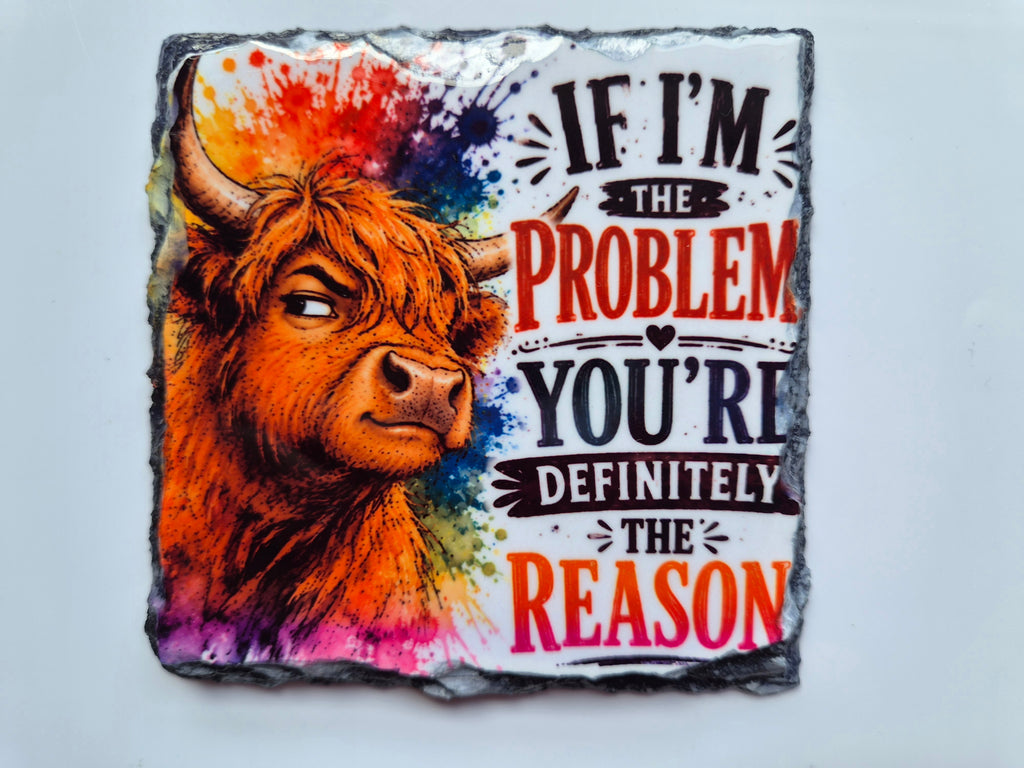 Cheeky Highland Coo Slate Coasters – Scottish Gift