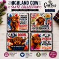 Cheeky Highland Coo Slate Coasters – Scottish Gift