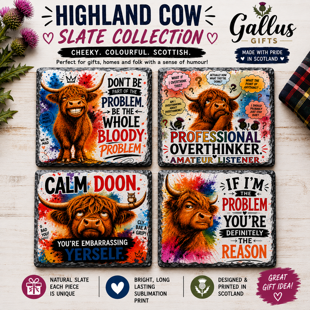 Cheeky Highland Coo Slate Coasters – Scottish Gift